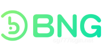 BNG-COLOR Payment Partner